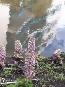 Leentje 05 Ook raar geworden